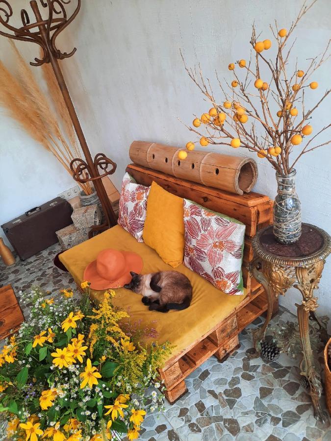 Inaisi Hotel كوتايسي المظهر الخارجي الصورة