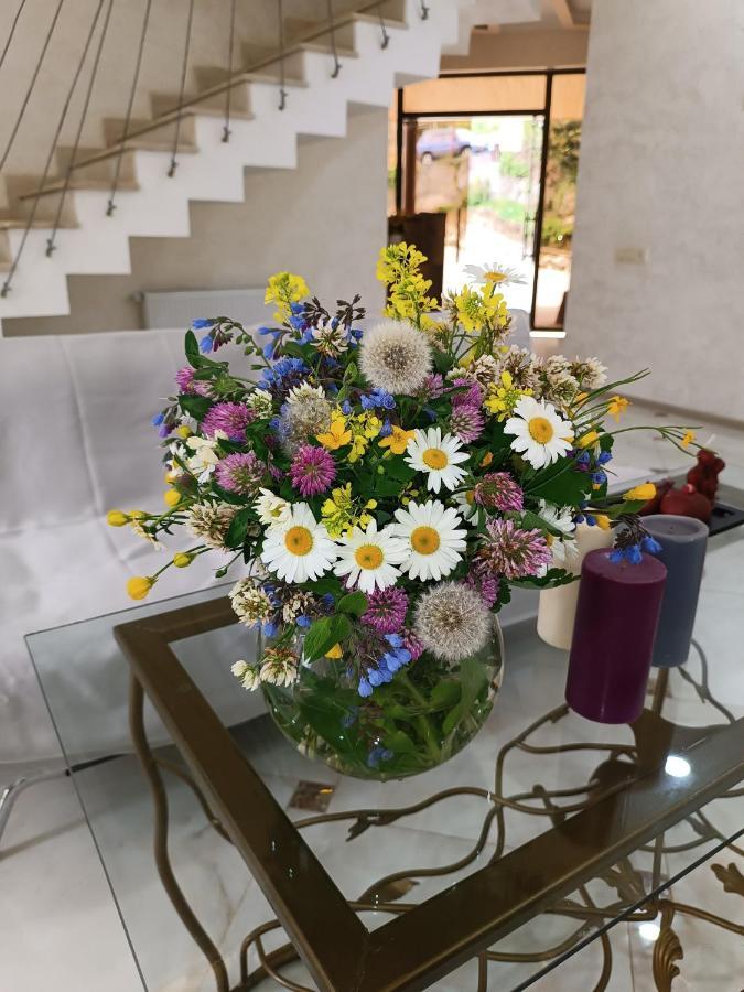 Inaisi Hotel كوتايسي المظهر الخارجي الصورة